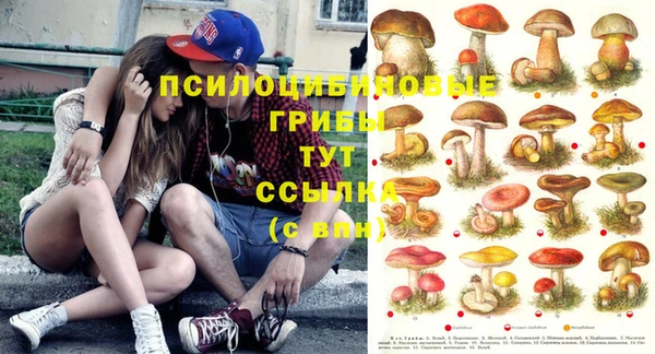 альфа пвп VHQ Корсаков