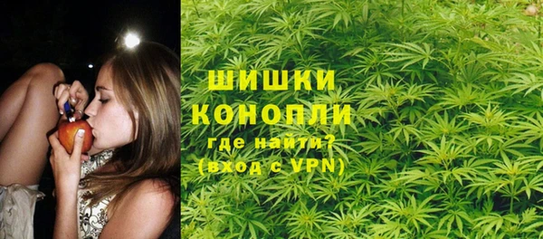 стаф Костерёво